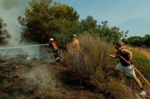 PM Spanyol: Ada Peluang Mengendalikan Kebakaran Hutan Akhir Pekan Ini