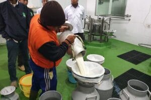 Pemerintah Siapkan Koperasi Susu Masuk Rantai Pasok Program Makan Bergizi Gratis