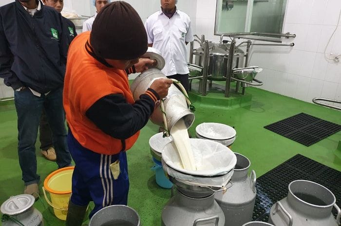 Peluncuran penguatan koperasi susu untuk mendukung Program Makan Bergizi Gratis di Pasuruan