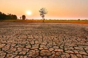 WMO Peringatkan El Nino Menguat, Risiko Cuaca Ekstrem Meningkat