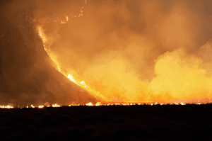 899 Hektare Lahan Bromo Terbakar, Akses Seruni Point Ditutup