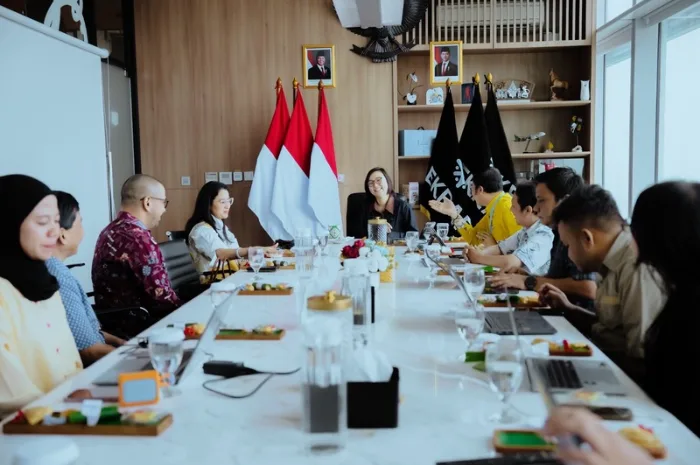 Teuku Riefky Harsya menyampaikan Rindekraf 2026–2045 kepada pemerintah daerah
