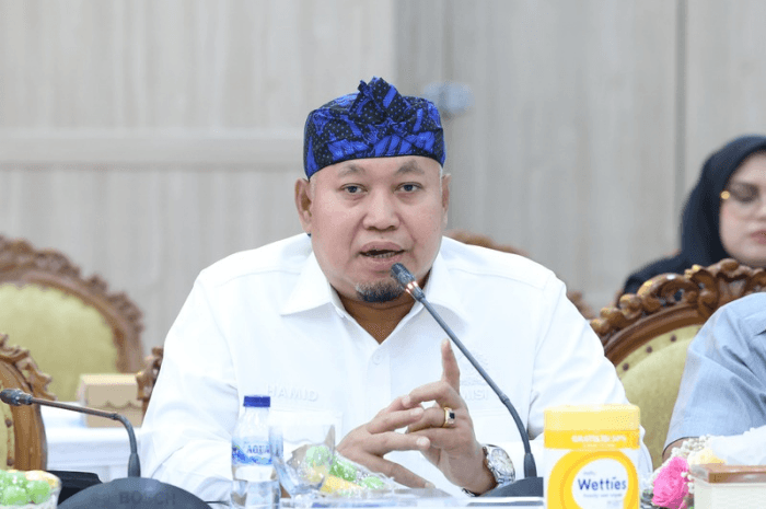 Hamid Noor Yasin mengikuti kunjungan kerja Pansus RUU HPI di Serang