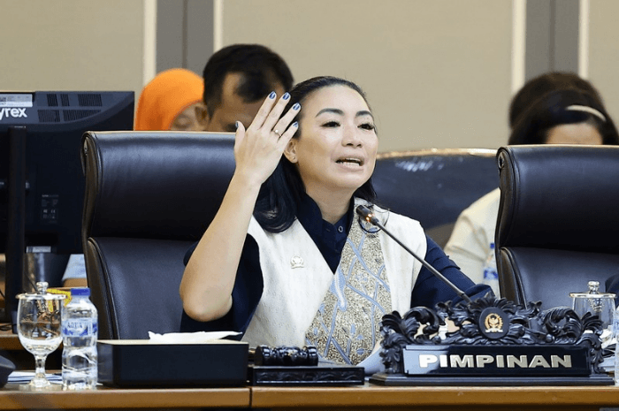 Rahayu Saraswati memimpin Raker Pansus RUU Desain Industri di Gedung Nusantara II Jakarta