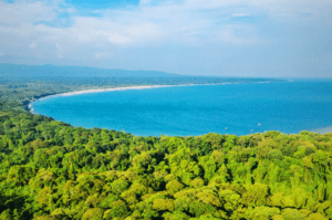 Wildlife Experience Index 2026, Indonesia Raih Dua Tempat di 10 Besar Wisata Satwa Liar