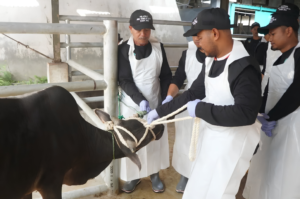Sembelihan Halal Butuh Kompetensi dan Sertifikasi, 30 Peserta Ikuti Pelatihan di Jabodetabek