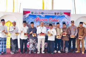 BI Libatkan 11 Ponpes di Lampung Program Budidaya Cabai, Ponpes Walisongo Panen Perdana