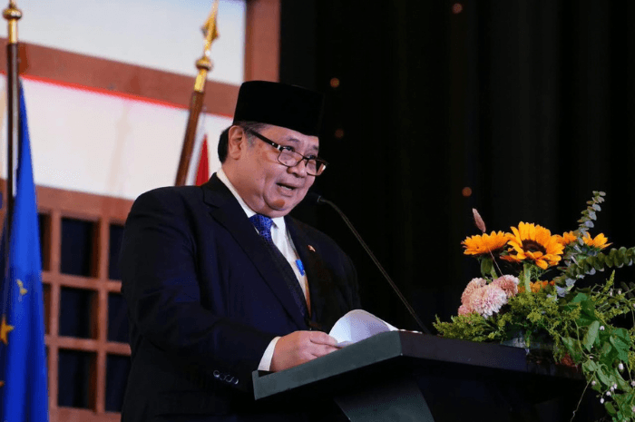 Airlangga Hartarto mendorong penguatan kerja sama ekonomi Indonesia-Jerman