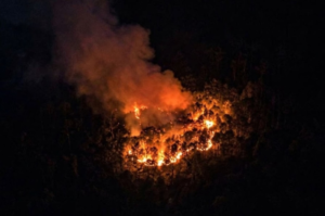 Mengapa Kebakaran Gunung Ciremai Terus Berulang Meski Pemadaman Dilakukan?
