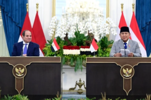Kerja Sama Pendidikan Indonesia-Mesir Mencakup Riset Bersama